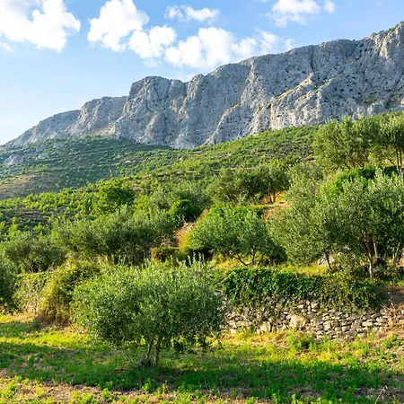 Olive Garden House In With A View & Bbq Semesterbostad Žrnovnica